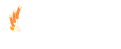 CBS BREW